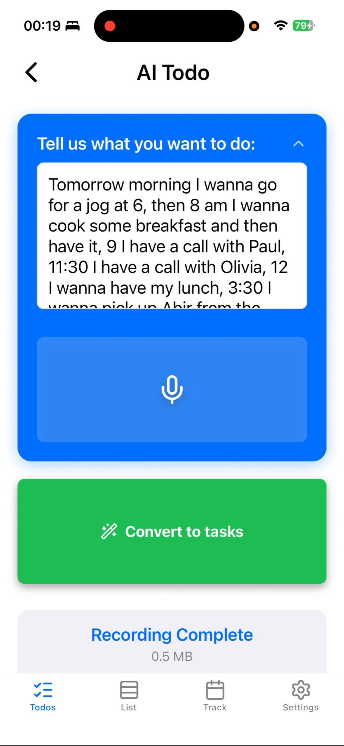 Voice Input Interface